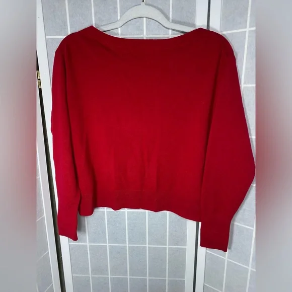 Everlane Deep Red V-Neck Cashmere Sweater - Picture 3 of 6